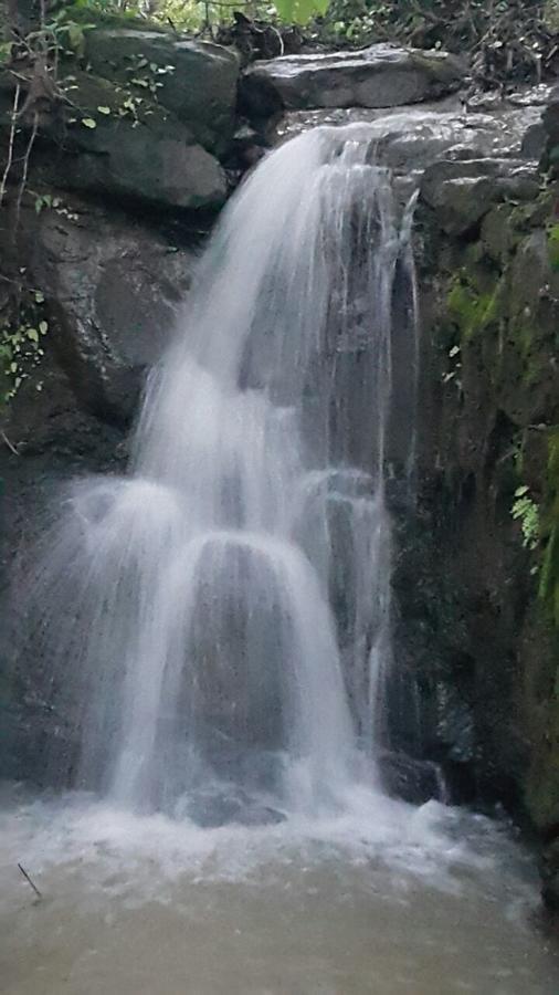 Vatul Cherilyn Monta Resort - Ratnagiri المظهر الخارجي الصورة